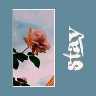 stay