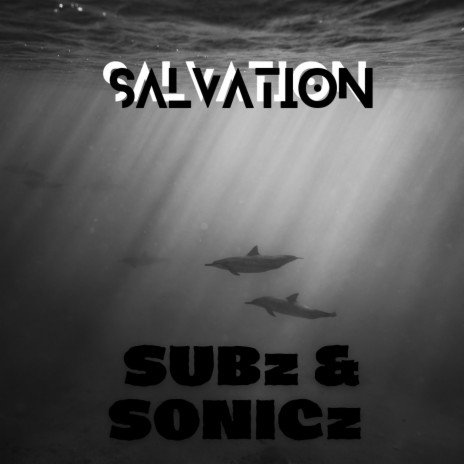 Subz&Sonicz | Boomplay Music