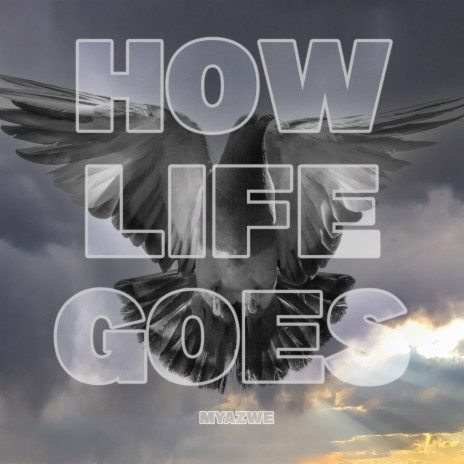 How Life Goes | Boomplay Music