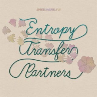 Entropy Transfer Partners