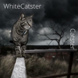 WhiteCatster