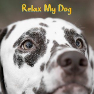 Relax My Dog