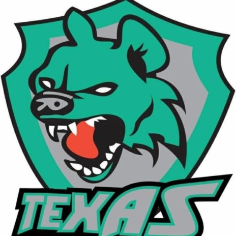 Texas Hyenas pre game song | Boomplay Music