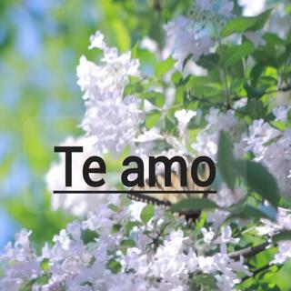 Te amo