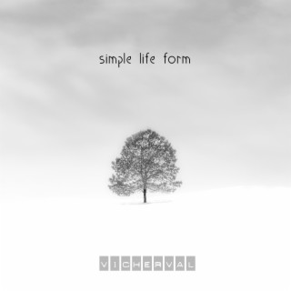 Simple Life Form