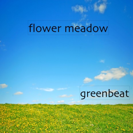flower meadow | Boomplay Music