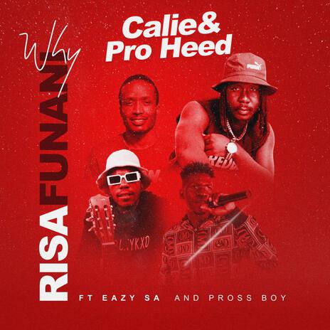 Why Risafunani ft. Calie, Eazy SA & Pross Boy | Boomplay Music