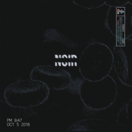 Noir | Boomplay Music