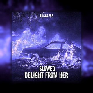 Delight from Her (Slowed)