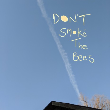 Don't Smoke The Bees | Boomplay Music