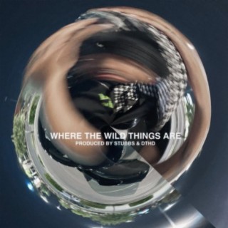 Where The Wild Things Are (feat. PRIE & dthd)