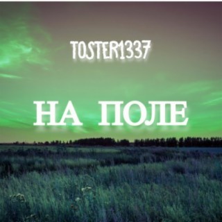 toster1337