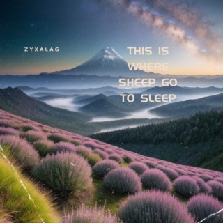 This Is Where Sheep Go to Sleep
