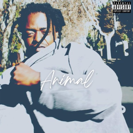 ANIMAL | Boomplay Music