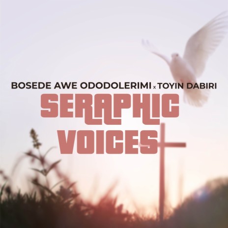 SERAPHIC VOICES ft. TOYIN DABIRI | Boomplay Music