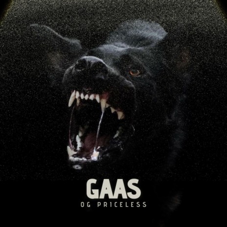 GAAS | Boomplay Music