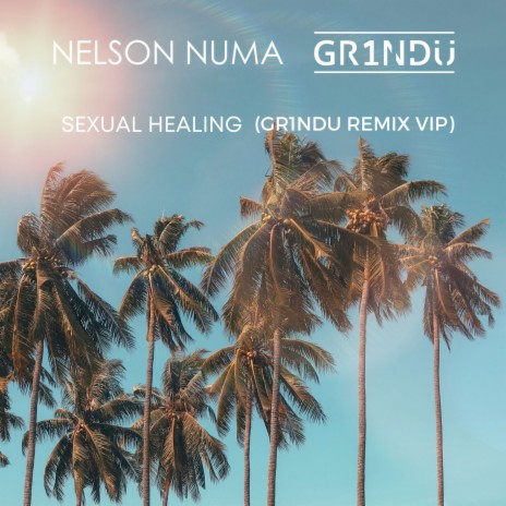 Sexual Healing (GR1NDU Remix VIP - Edit) ft. GR1NDU
