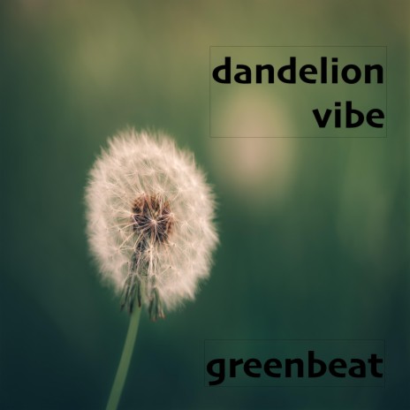 dandelion vibe