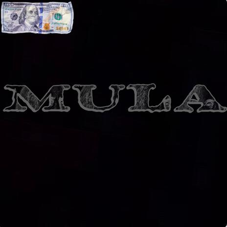 Mula