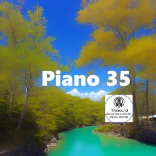 Piano 35