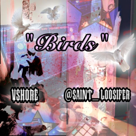 BIRDS (ORIGINAL MIX) ft. VSHORE | Boomplay Music