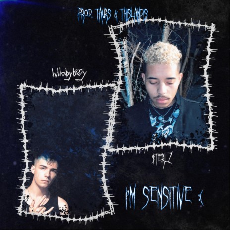 I'm Sensitive (feat. $terlz) | Boomplay Music