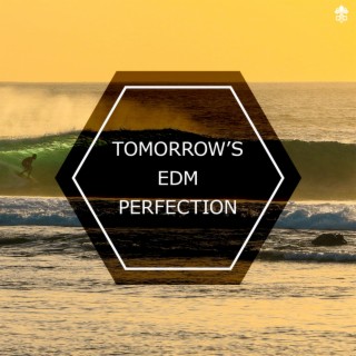 Tomorrow's EDM Perfection