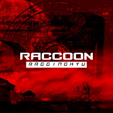 Raccoon | Boomplay Music