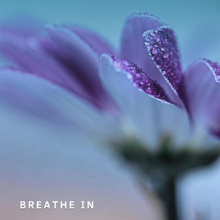 Breathe In