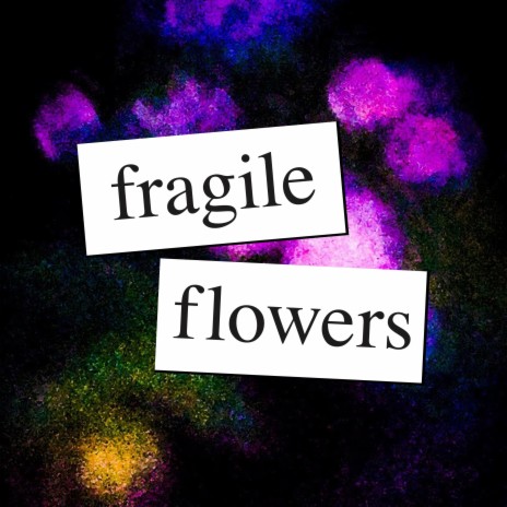 Fragile Flowers | Boomplay Music
