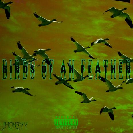 Birds of ah Feather | Boomplay Music