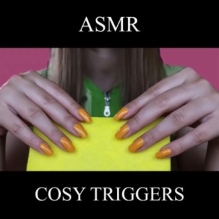 ASMR Cosy TRIGGERS for SLEEP (No Talking)