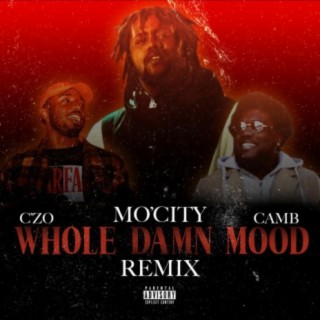 Whole Damn Mood (feat. C'zo & Camb) [Remix]