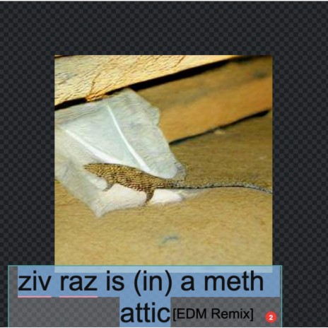 ziv raz is (in) a meth attic (EDM Remix) ft. Ziv Raz | Boomplay Music