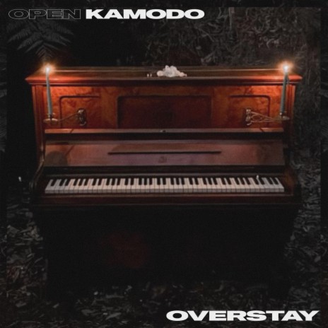 Overstay | Boomplay Music