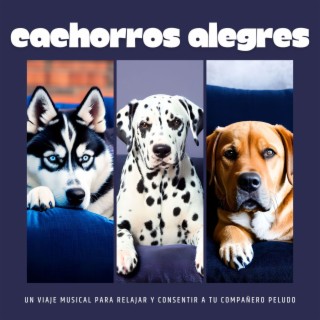 Cachorros Alegres: Un Viaje Musical para Relajar y Consentir a tu Compañero Peludo