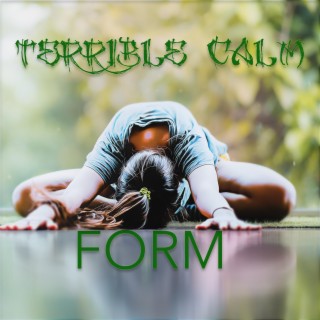 Terrible Calm