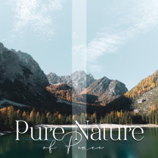 Pure Nature of Peace: The Best Nature Ringtones, Soothing Nature Sounds