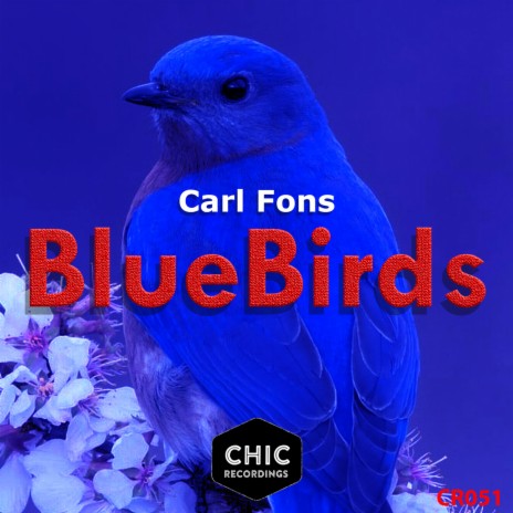 Blue Birds | Boomplay Music