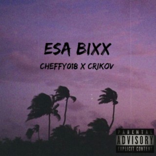 ESA BIXx