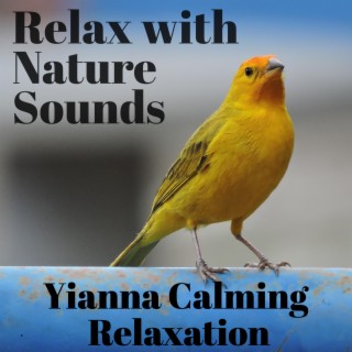 Yianna Calming Relaxation