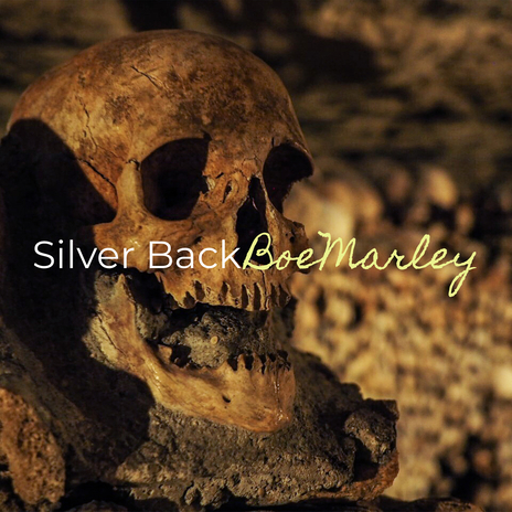 Silver Back | Boomplay Music