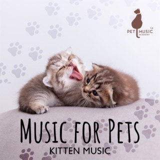 Music for Pets: Kitten Music