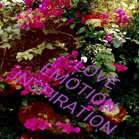 LOVE EMOTION INSPIRATION