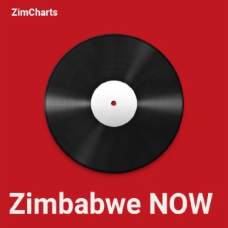 Zimbabwe NOW