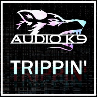 Audio K9