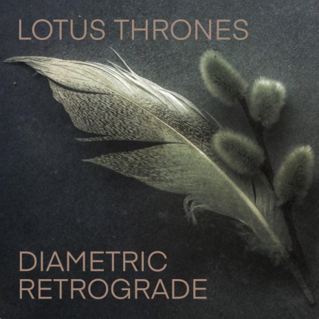 Diametric Retrograde