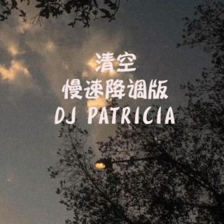 清空-慢速降调版DJ PATRICIA
