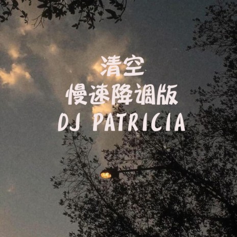 清空-慢速降调版DJ PATRICIA | Boomplay Music