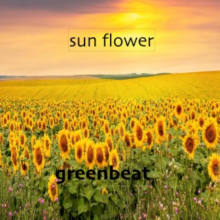 sun flower